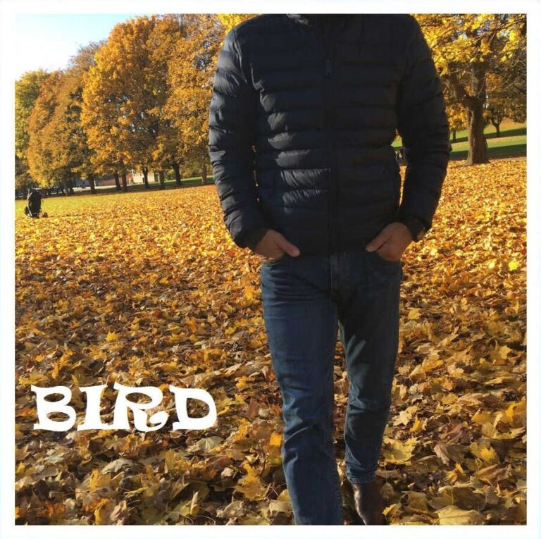 ANIREVY – “Bird”