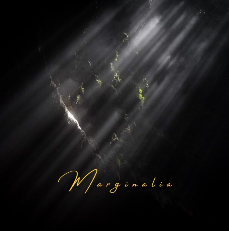 Marginalia – “Dances You Absorbed”