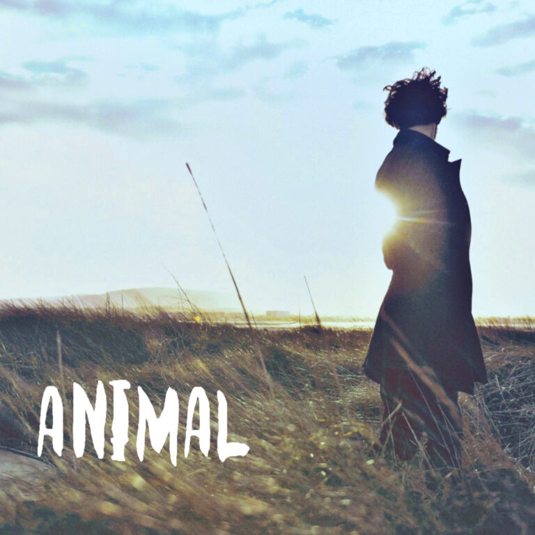 Every Thing The Light Touches – “Animal”