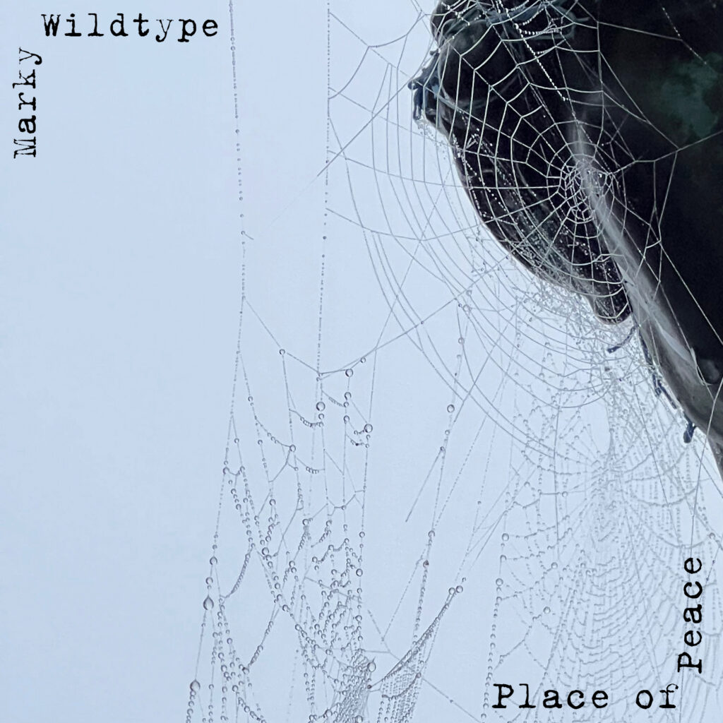 marky wildtype – “Place of Peace”