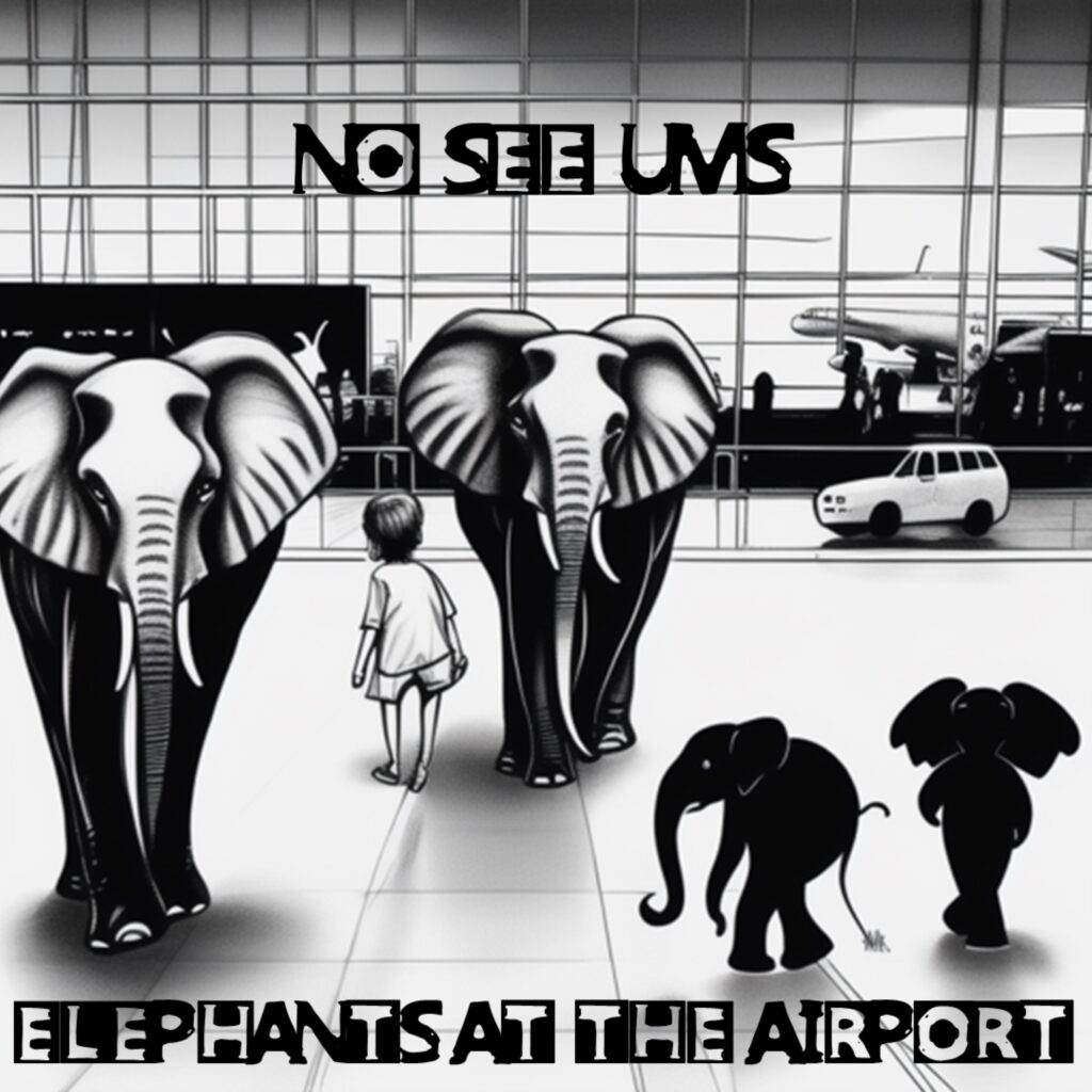 No See Ums – “Elephants at the Airport”