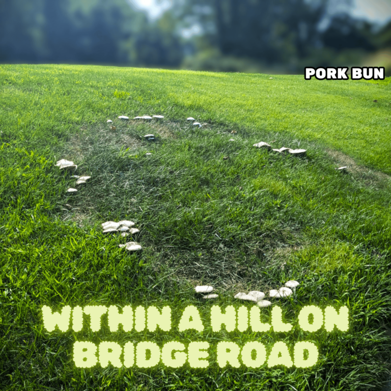 Pork Bun – “Within a Hill on Bridge Road”