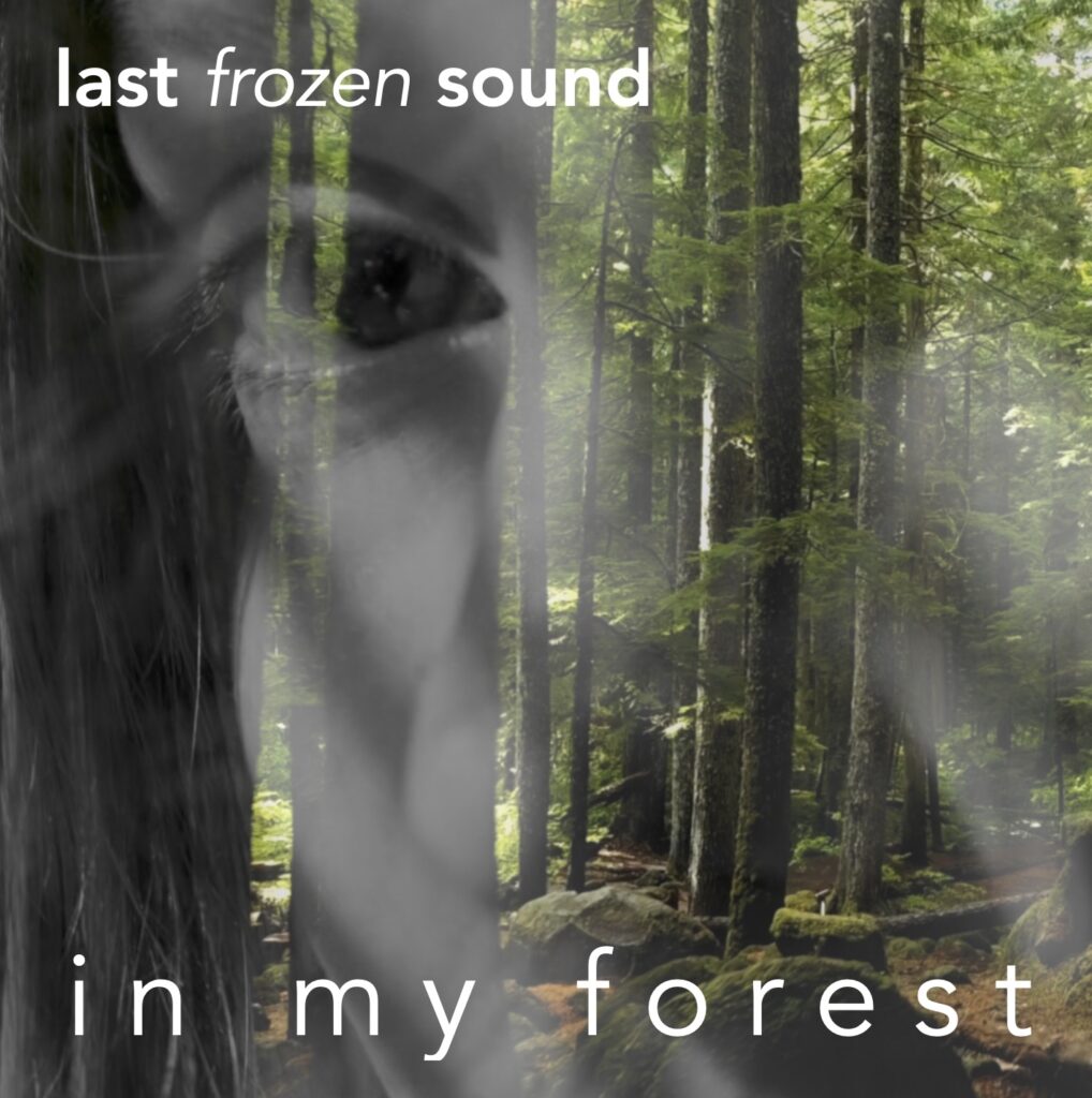 Last Frozen Sound – “In My Forest”