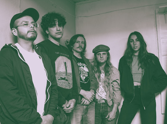 Plaster – “Back to Basics”