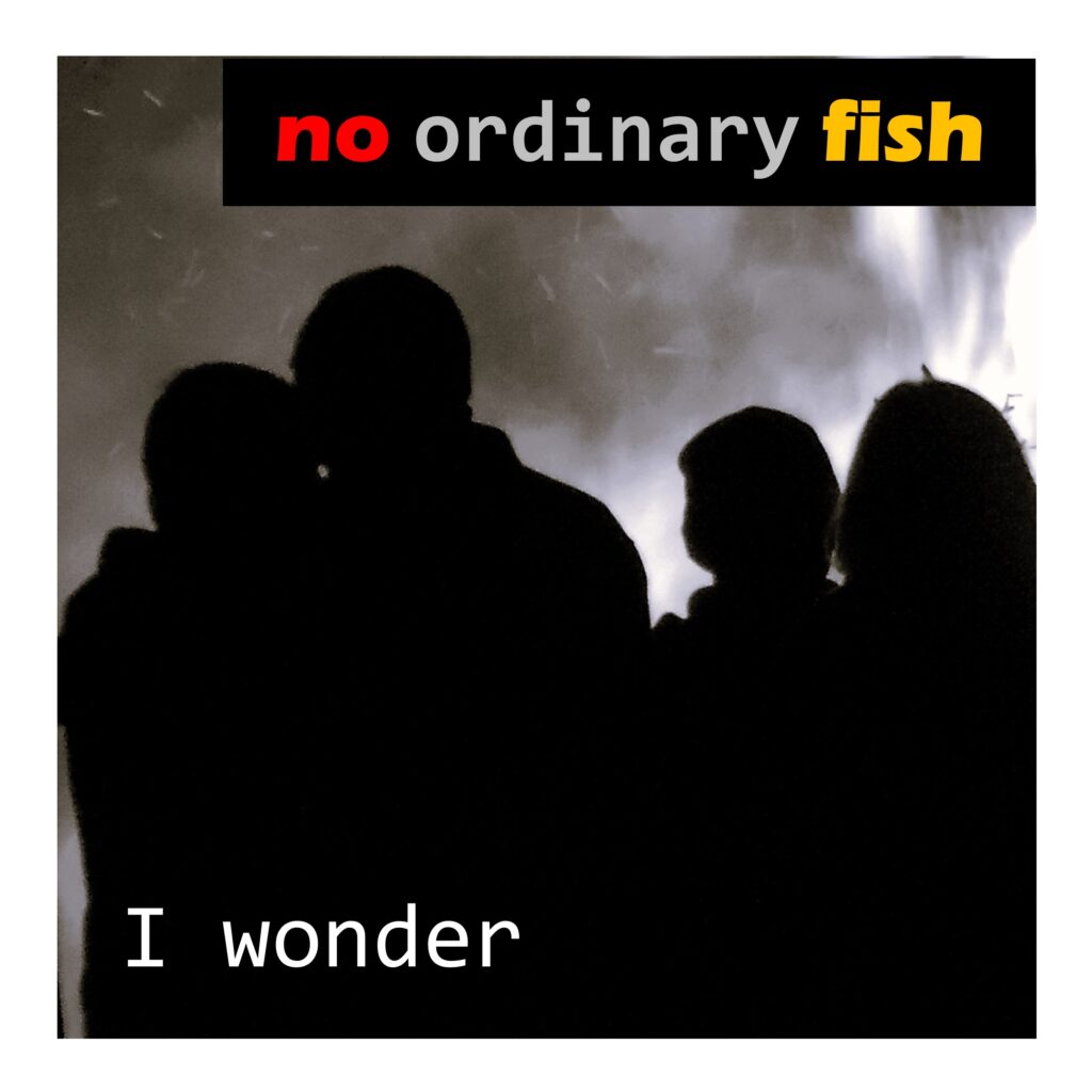 no ordinary fish – “I Wonder”