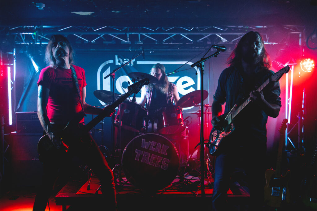 Weak Trees – “Animal”