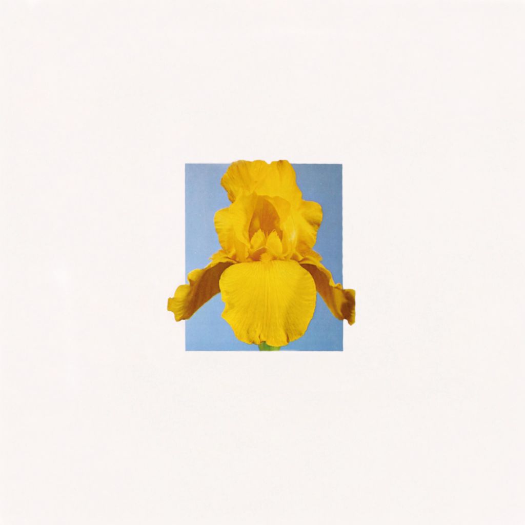 Dan Hair – “Like Cutting Coloured Wires”