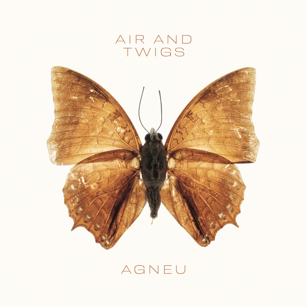 Agneu – “Air and Twigs”