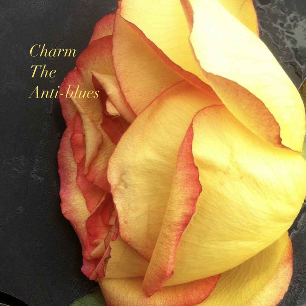 Charm – “The anti-blues”
